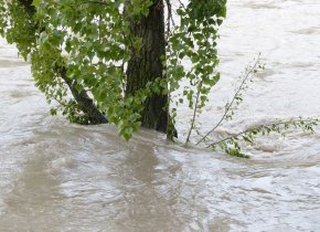 Odborná pomoc při likvidaci následků povodní