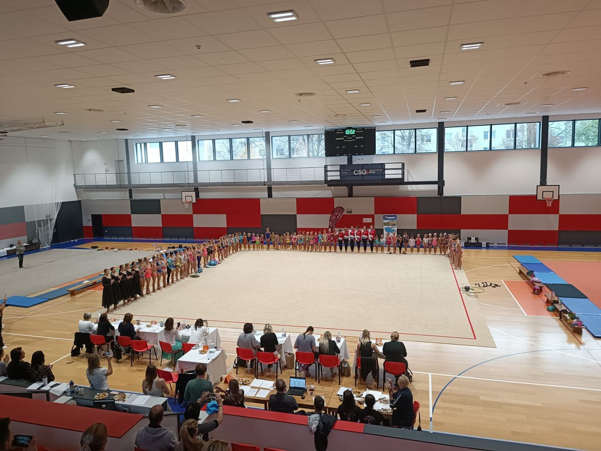 Přispěli jsme chrudimským moderním gymnastkám na nový koberec