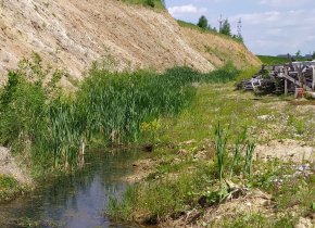 Nedáte-li si pozor, mohou vám žáby významně posunout zahájení výstavby